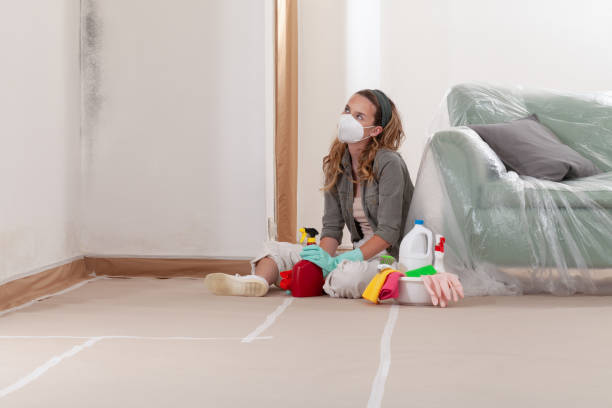 Reliable Crawl Space Mold Removal contractor in Fairfield, PA by WQB Mold Removal